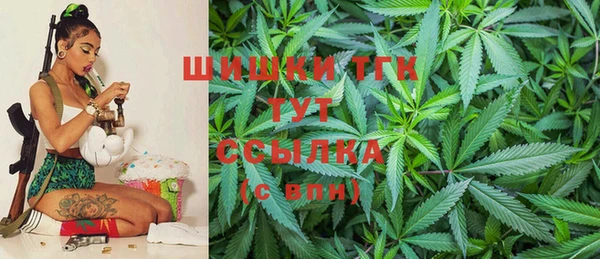 стафф Корсаков
