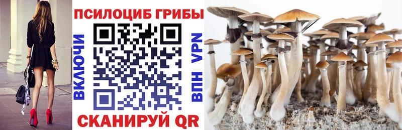 Галлюциногенные грибы прущие грибы  это как зайти  Мещовск 